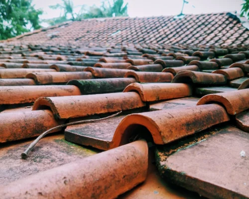 Démoussage de toiture