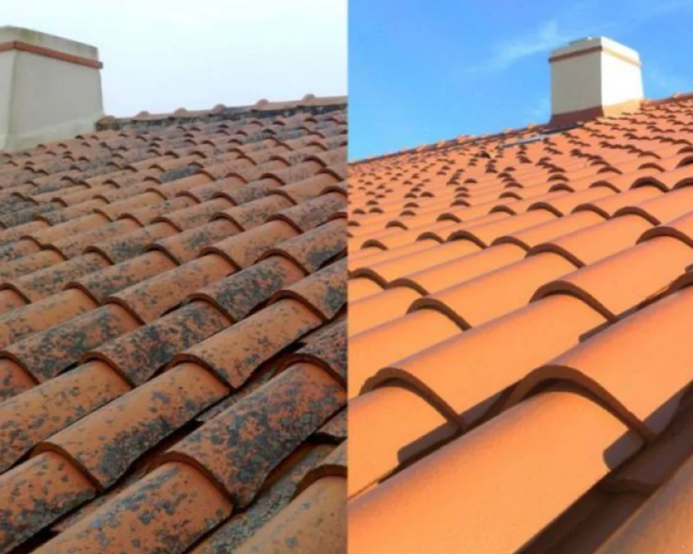 Démoussage toiture toulouse avant après